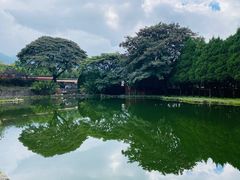 -崇圣寺三塔文化旅游区