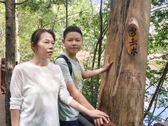 -汤旺河林海奇石景区