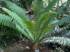 -国家植物园南园