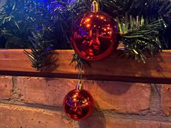 -blue frog蓝蛙(长泰广场店)