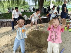 -大兴滨河森林公园