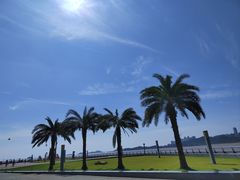 -野狸岛