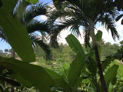 -100蛋泥浆浴