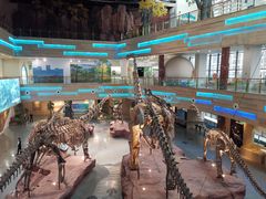 -安徽省地质博物馆