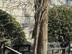 -华山风景区-华阳宫