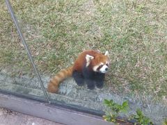 -东部华侨城