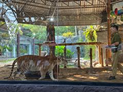 -清迈夜间动物园