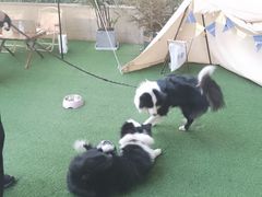 -CAMP.33露营烤肉·团建聚餐(创智天地店)