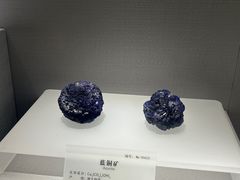 -湖南省地质博物馆