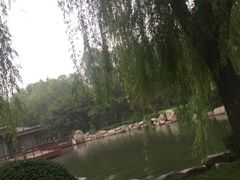 -唐城墙遗址公园