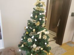 -ROYEA茹彦祛痘·问题肌肤修护中心