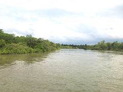 -东寨港红树林旅游区