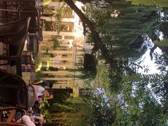 -Fern Forest Cafe