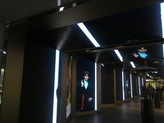 -乐天免税店(明洞店)
