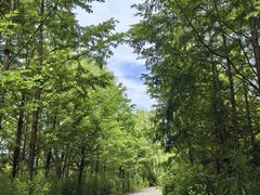 -百翠山居.家飨餐厅