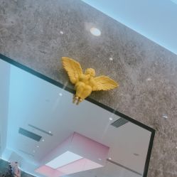 点击看大图 -TONI&GUY
