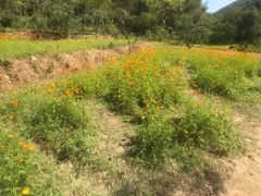 -宁波浙东大竹海景区