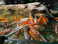 -太平洋海底世界