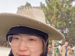 -日照海滨国家森林公园