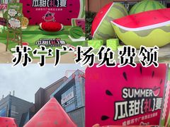 -苏宁广场·城市奥特莱斯(天府立交店)
