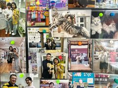 -青奢宠物·青奢猫舍