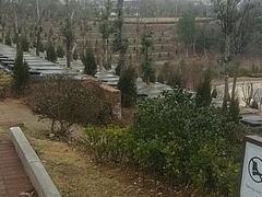 -瑶湖郊野森林公园