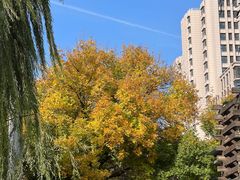 -元大都城垣遗址公园