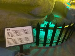 -游龙石文化科普馆