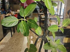 -回·龙虾铺·盆盆蟹·烧烤大排档(回龙观店)