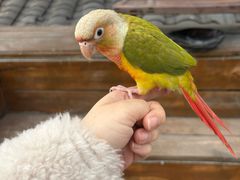 -伴山茶苑·围炉煮茶