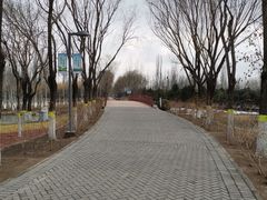-大兴滨河森林公园
