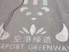 -空港花田景区