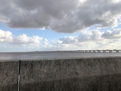 -南汇新城海滩