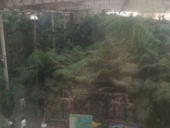 -龙达温泉生态城