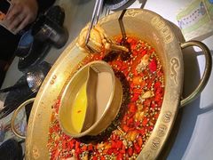 -新哥老官·畅吃123·美蛙世界(苏宁广场店)
