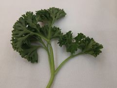 -红菜坊·烤鸭·川鲁宴(石园店)