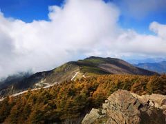 -白草畔自然风景区