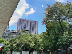 -荔湾湖公园