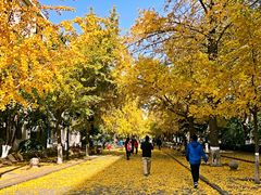 -北京化工大学(东校区)