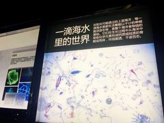 -同济大学四平路校区深海探索馆
