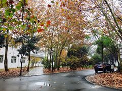 -春兰国宾馆(凤城河风景区老街店)