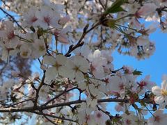 -幕燕滨江·燕子矶公园