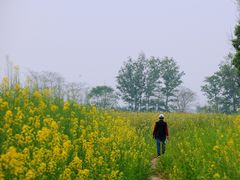 -中国天府农业博览园