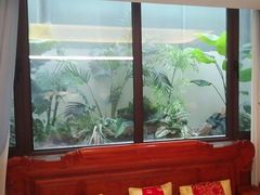 -大连湾旭日·家宴·海肠捞饭(马栏广场店)