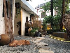 -云里小坐·小院里·团建·宴请·下午茶(三圣乡店)