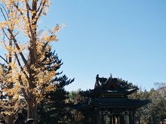 -晋祠公园