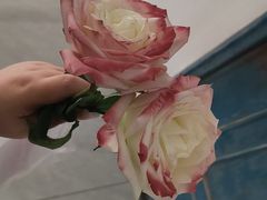 -浩运·海鲜青岛菜·海胆水饺(石老人店)