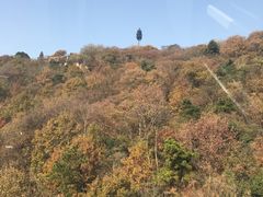 -紫金山索道-售票处