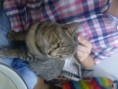 android_upload_pic-盛京一禾