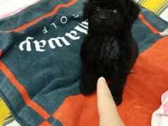 -林妈妈村·日式料理(宝山龙湖天街店)